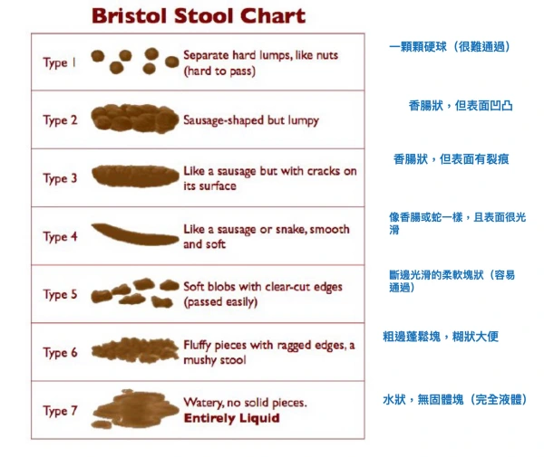 【醫學】便秘，腸躁症和排便問題的中西醫治療法 @中醫安心講堂